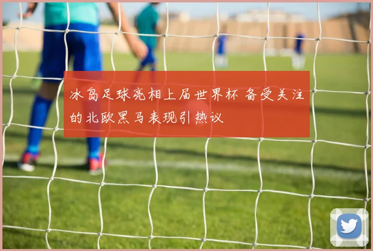 冰岛足球亮相上届世界杯 备受关注的北欧黑马表现引热议