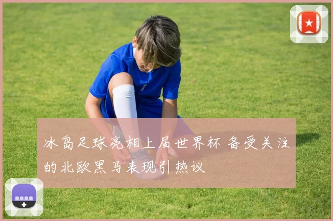 冰岛足球亮相上届世界杯 备受关注的北欧黑马表现引热议