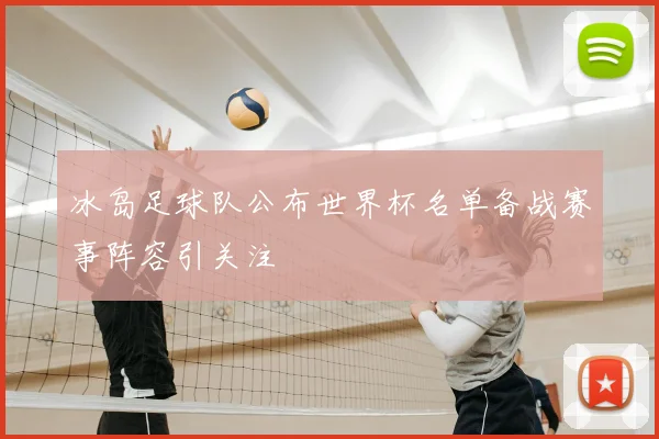 冰岛足球队公布世界杯名单备战赛事阵容引关注