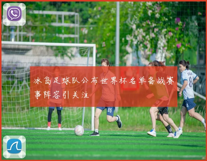 冰岛足球队公布世界杯名单备战赛事阵容引关注